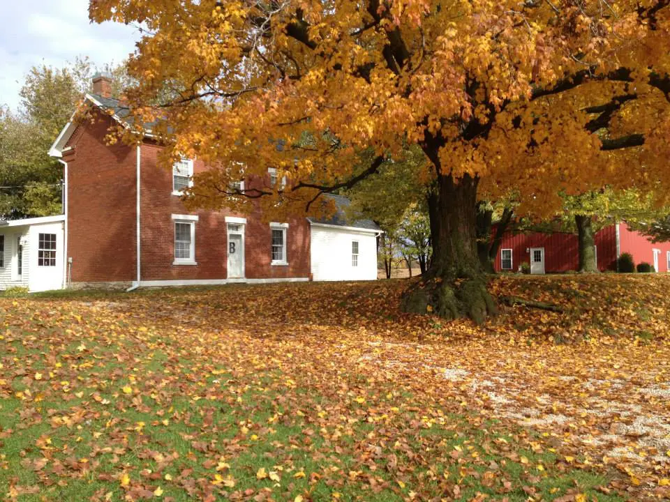 A red brick house with a large tree in the background.