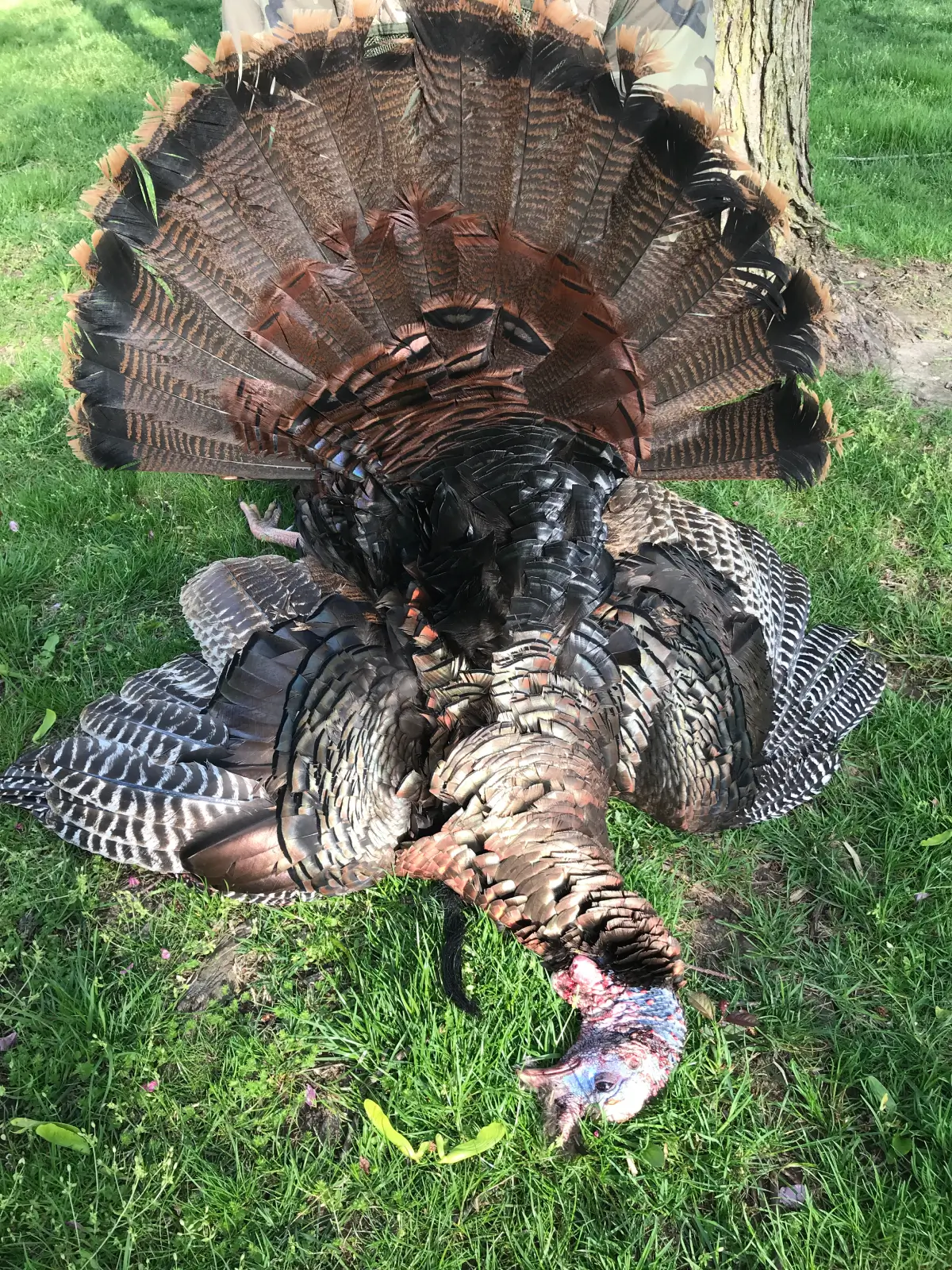 665a17d8dbfe7_IMG_9190-1