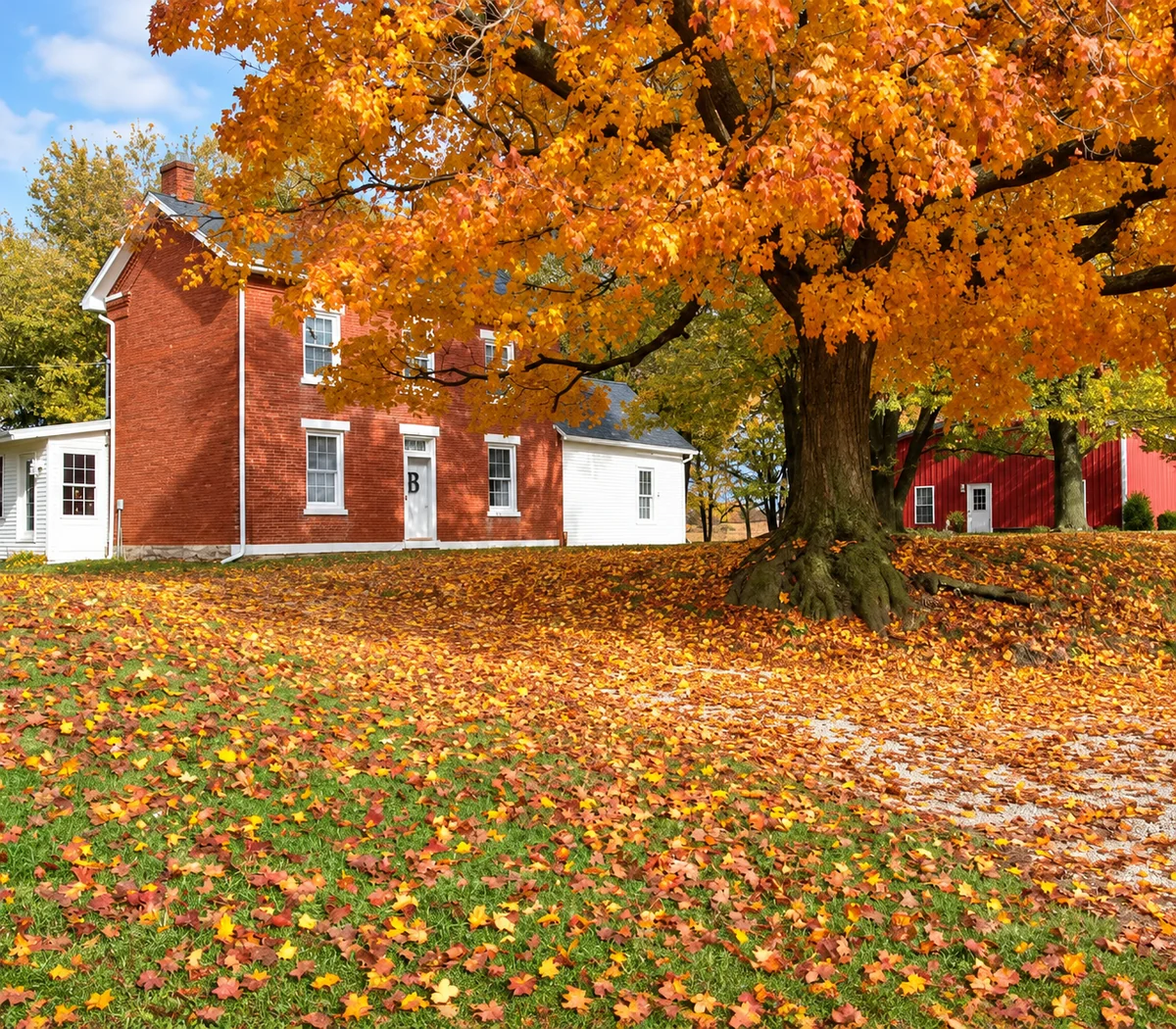 Autumn-Maple-Farmstead-in-Full-Color.webp
