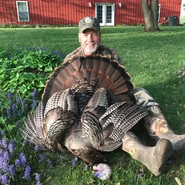 A man sitting in the grass with two turkeys.