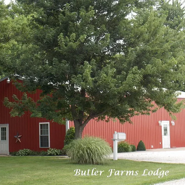 A red barn with a large tree in front of it.